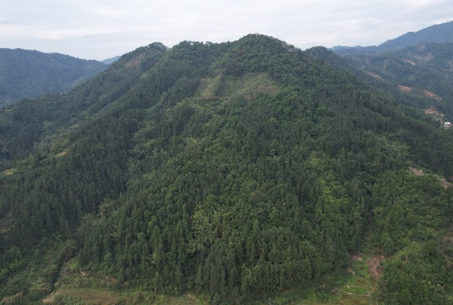 中國有研：深入踐行習(xí)近平生態(tài)文明思想，扎實開展主題教育助推美麗中國建設(shè)